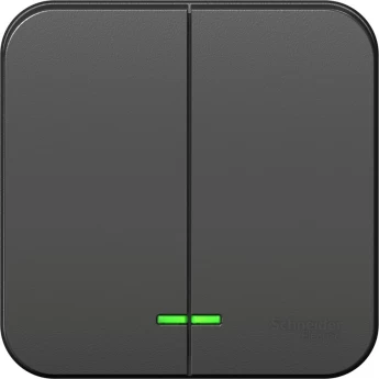 2-клавишный выключатель SCHNEIDER ELECTRIC BLANCA с подсветкой, 10А, 250B, АНТРАЦИТ
