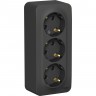 Трёхместная розетка SCHNEIDER ELECTRIC BLANCA с заземлением, без шторок, с изолирующей пластиной, 16А, 250В, АНТРАЦИТ BLNRA010316